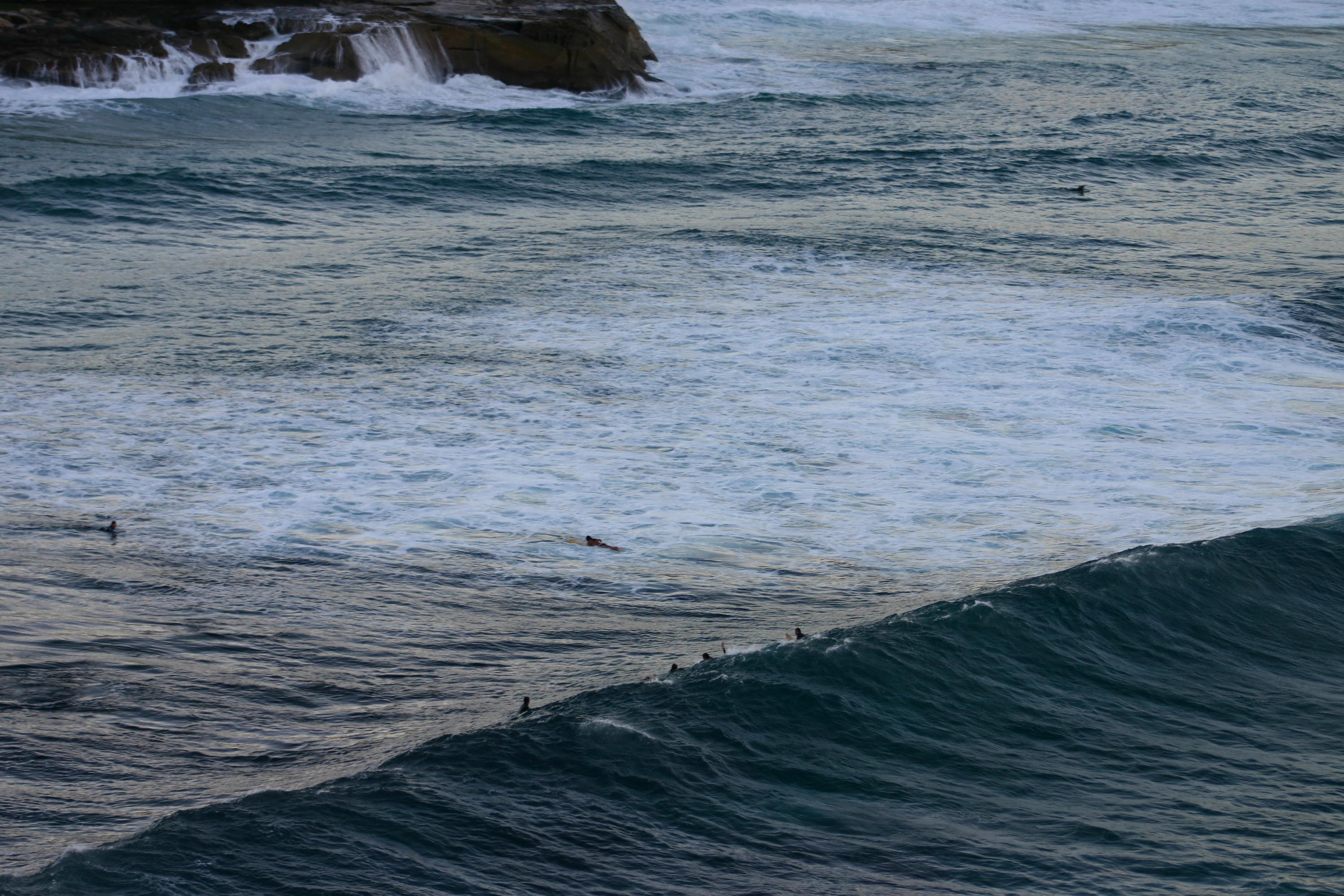 SurfersatBronte