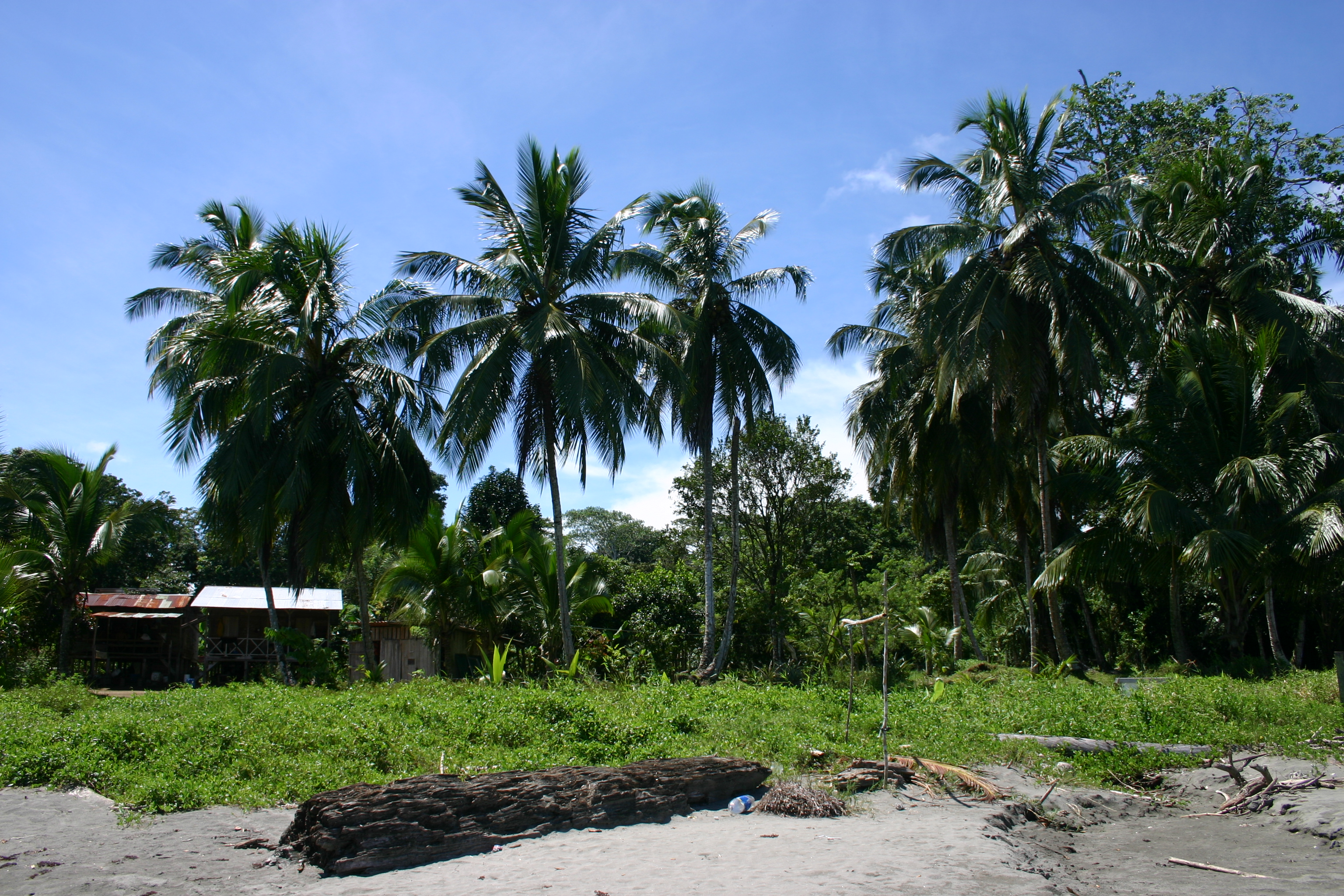 punta mona, puerto viejo 149