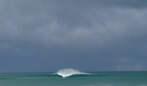 Screenshot_2017-11-13-09-39-53-1