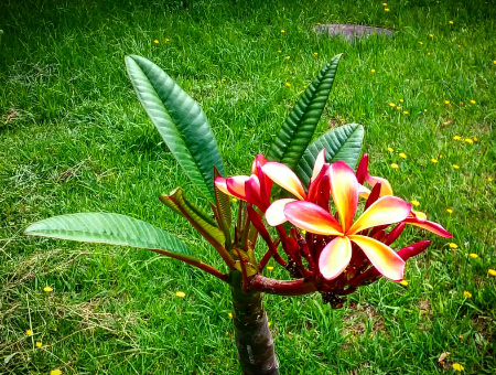 Screenshot_2018-01-03-10-44-49-1