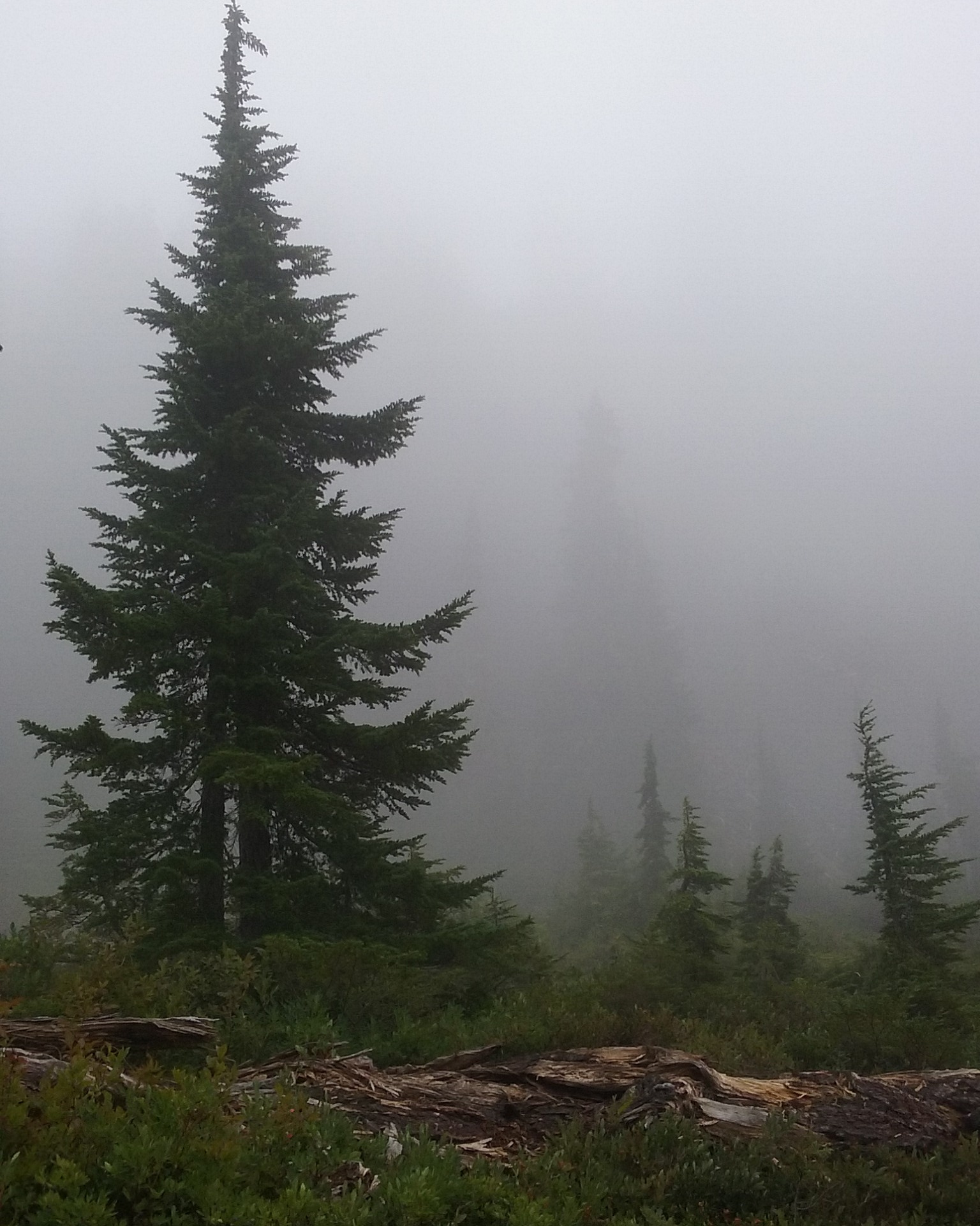 IMG_20180831_103926_954