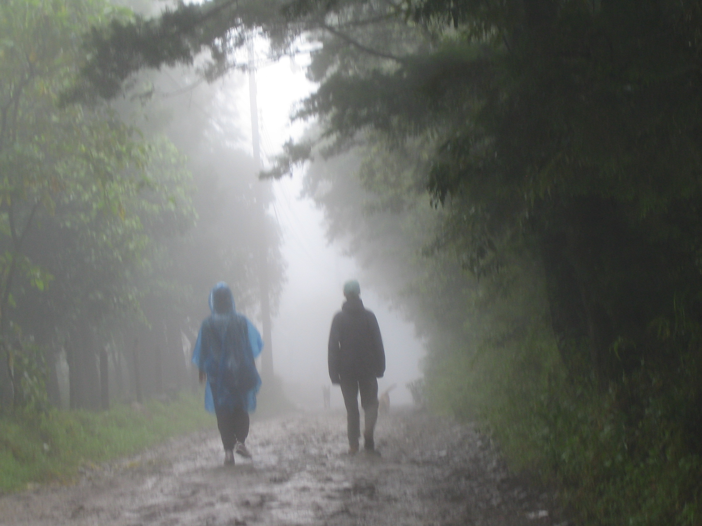 punta mona, puerto viejo 368
